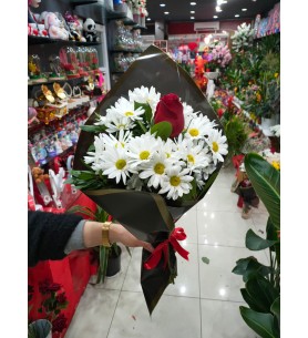 Papatya Gül